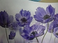 Фартук для кухни Волшебство (3D фотопечать)