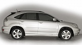 Накладки на пороги RX-350 Пороги